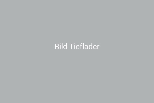 alex-baukran-transport-tieflader