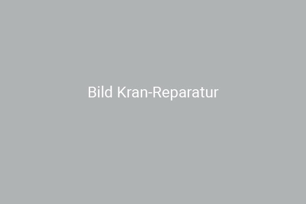 alex-kranservice-kran-reparatur
